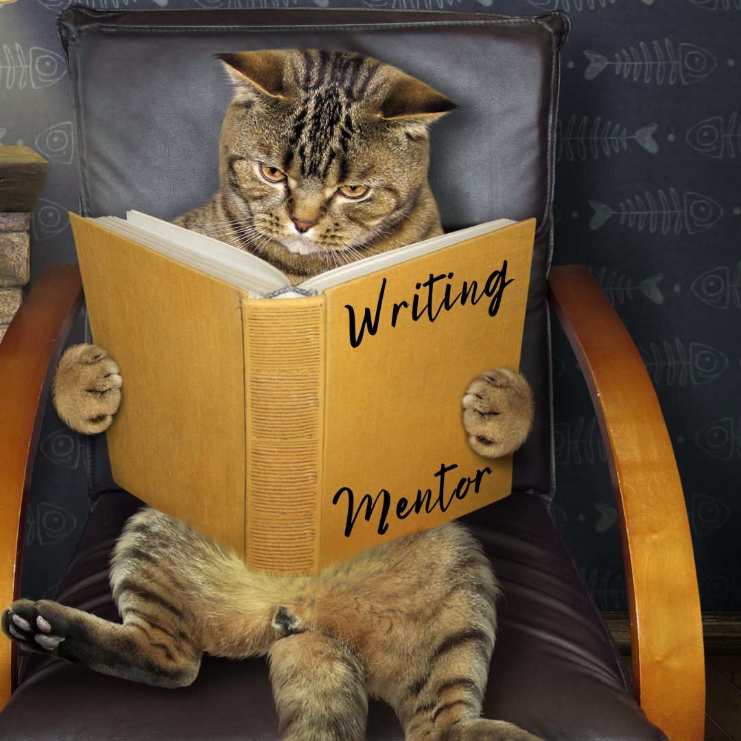 Book Writing Mentorship - FREE ZOOM CONSULT