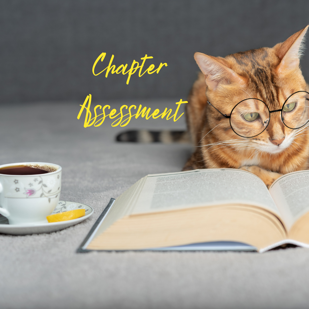 Chapter Assessment