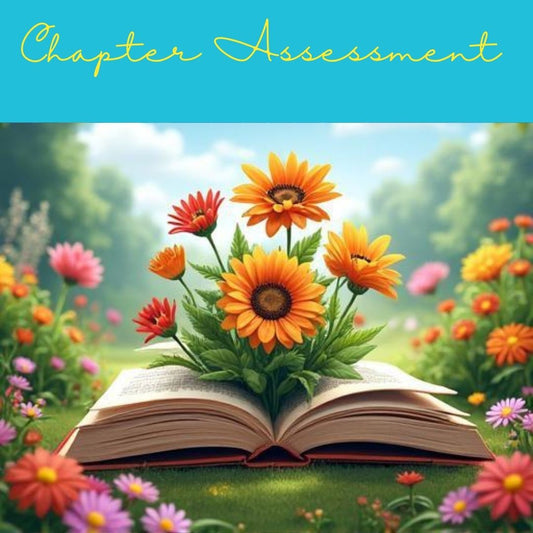 Chapter Assessment